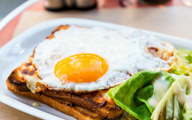 Fried egg toast salad professional free wallpaper - medium preview image