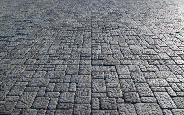 Black white dog brick sidewalk free wallpaper - medium preview image