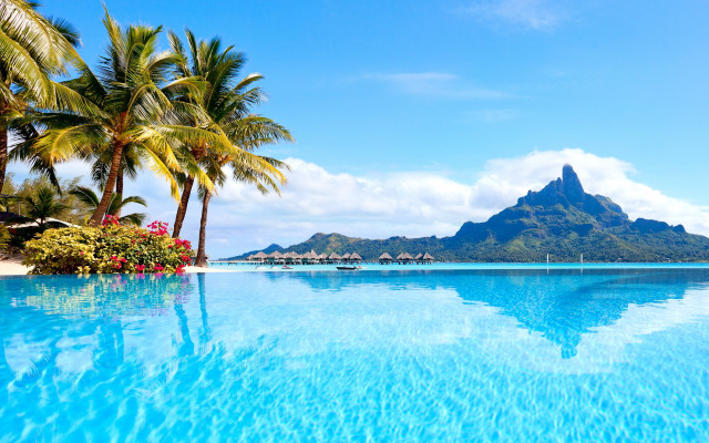 Large pool mountain palm trees free wallpaper - medium preview image