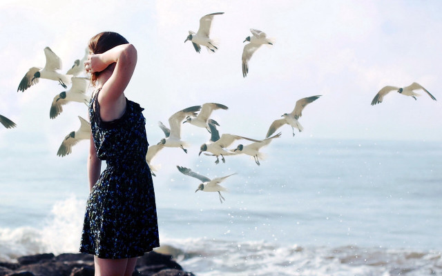 Woman rock ocean seagulls wind free wallpaper - medium preview image