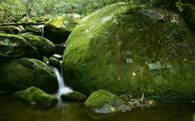 Forest stream mossy rocks green free wallpaper - medium preview image