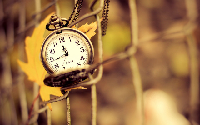 Clock fence leaf macro depth free wallpaper - medium preview image