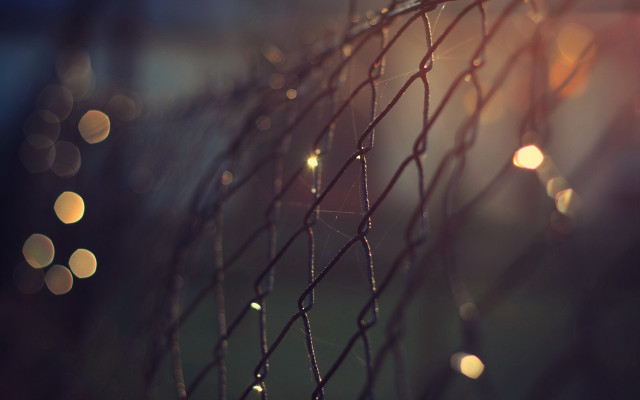 Rain drops fence macro bokeh free wallpaper - medium preview image