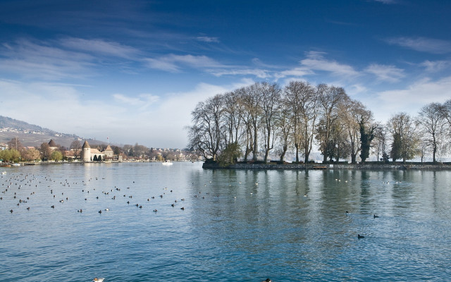 Lake birds trees sky mountains free wallpaper for desktop - medium preview image