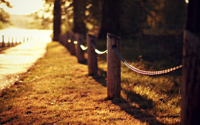 Wooden posts rope grassy path free wallpaper - medium preview image