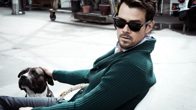 Man dog sunglasses green sweater free wallpaper - medium preview image