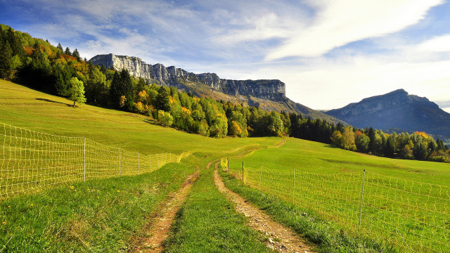 Grassy field dirt path mountain free wallpaper - medium preview image