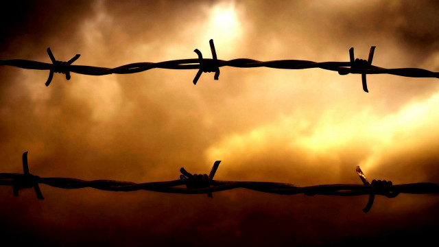 Barbed wire bird cloudy sky free wallpaper - medium preview image