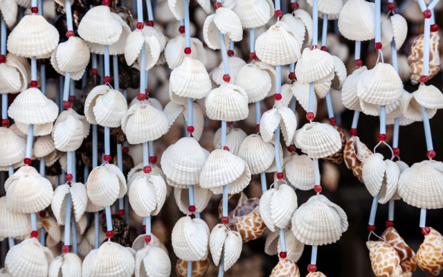 Shells beads ribbon ecological art free wallpaper - medium preview image
