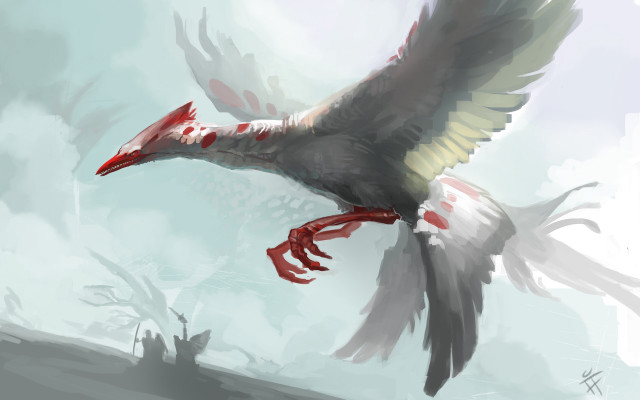 Bird flying red beak wings free wallpaper - medium preview image