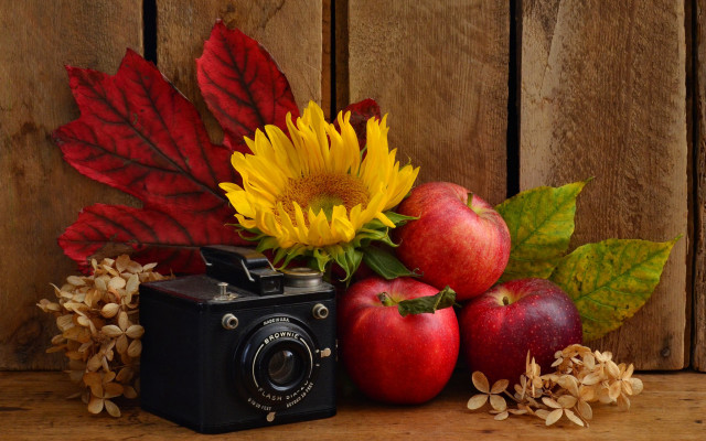 Camera apples sunflowers leaves flowers free wallpaper - medium preview image