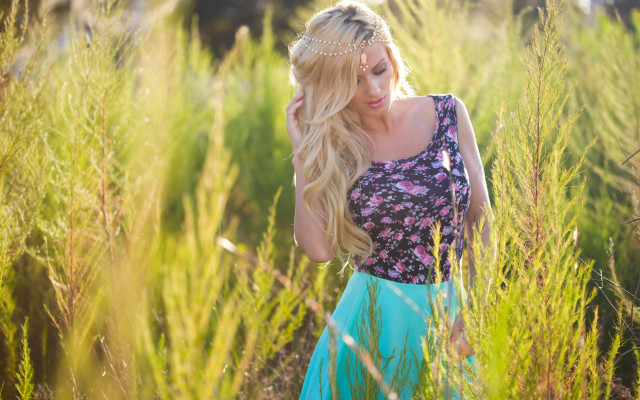 Aramenta dianthe vail field blossom #2 free wallpaper - medium preview image