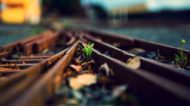 Train tracks plant bokeh aurora free wallpaper - medium preview image