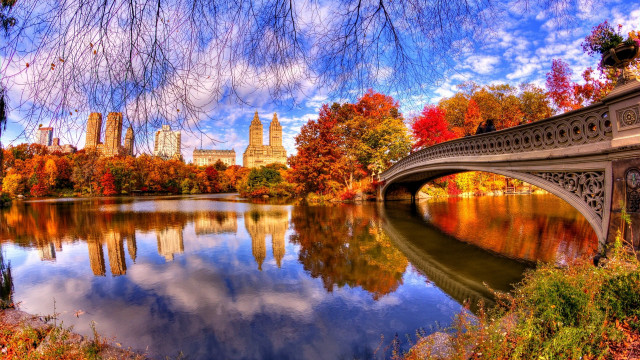 Bridge river city trees autumn free wallpaper - medium preview image