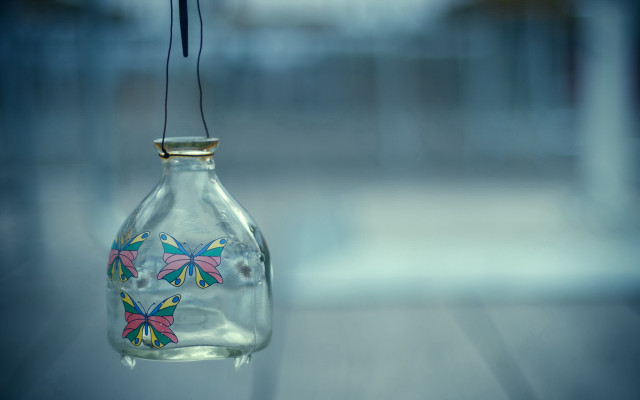 Glass bottle butterfly hanging window free wallpaper - medium preview image