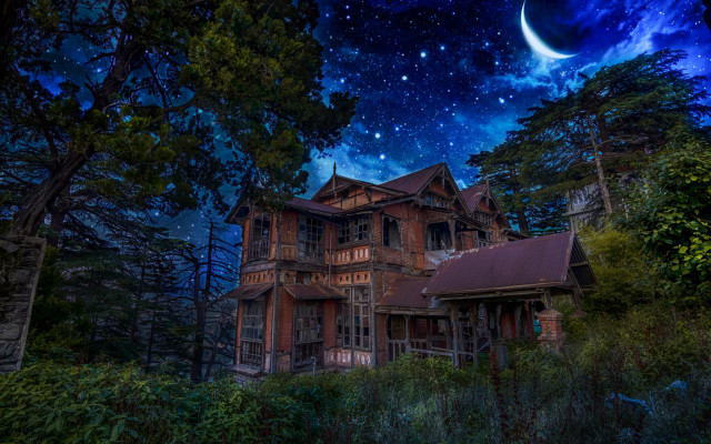 House woods night sky stars free wallpaper - medium preview image