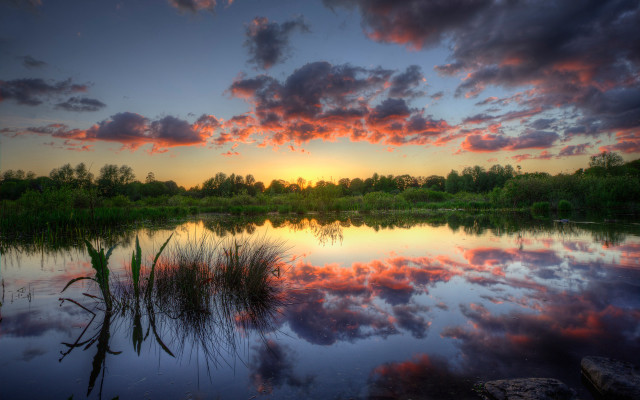 Sunset lake clouds grass trees free wallpaper - medium preview image