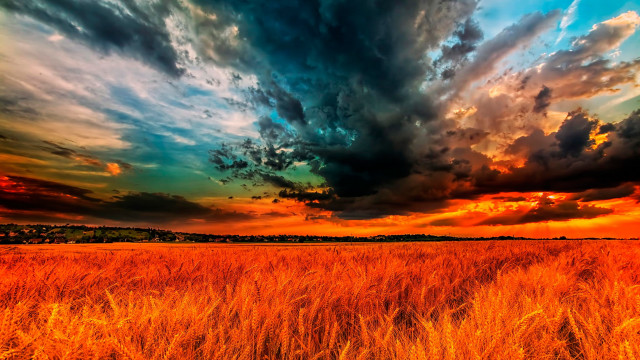 Grass sky clouds sunset autumn free wallpaper - medium preview image