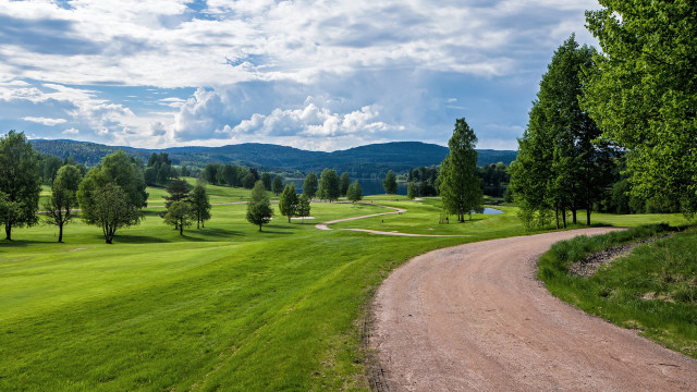 Dirt road green field forest #3 free wallpaper - medium preview image