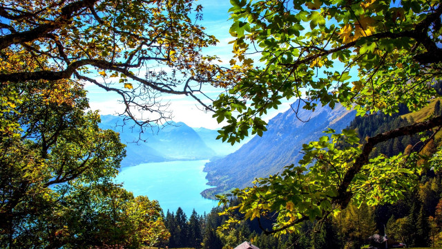 Hill lake mountains bench autumn free wallpaper - medium preview image