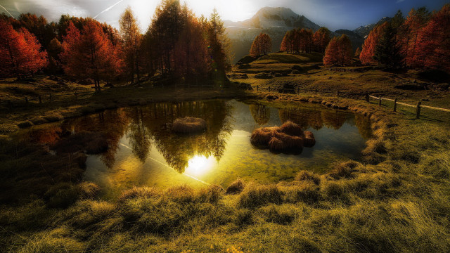 Pond grass trees sun mountains free wallpaper - medium preview image