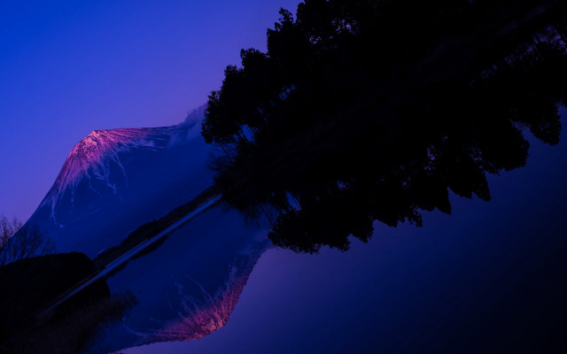 Purple sky matte tree fireworks free wallpaper - medium preview image