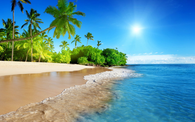 Beach trees water sun blue free wallpaper - medium preview image