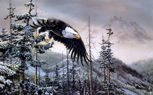 Bald eagle snowy forest mountains free wallpaper - medium preview image