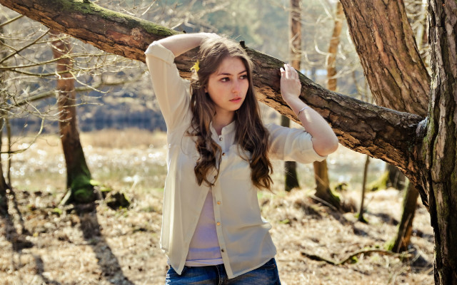 Woman holding branch forest bush free wallpaper - medium preview image