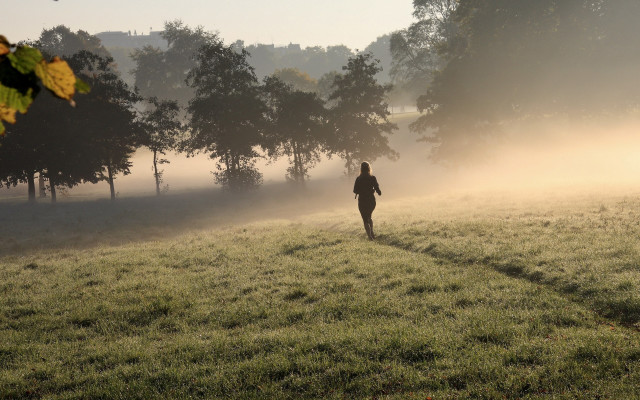 Foggy morning field forest city free wallpaper - medium preview image