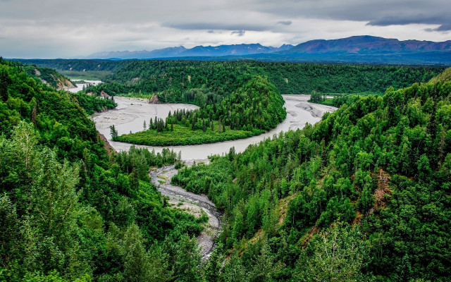 Lush green forest river hillside free wallpaper - medium preview image