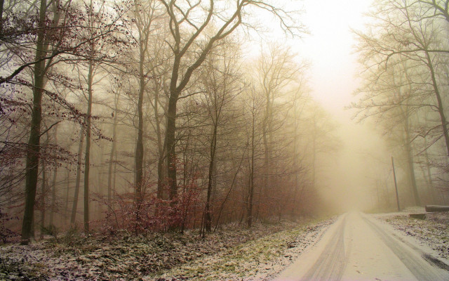 Forest road snow moon fog free wallpaper - medium preview image