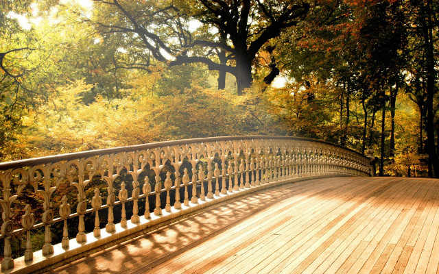 Autumn wooden bridge leaves sunbeam free wallpaper - medium preview image