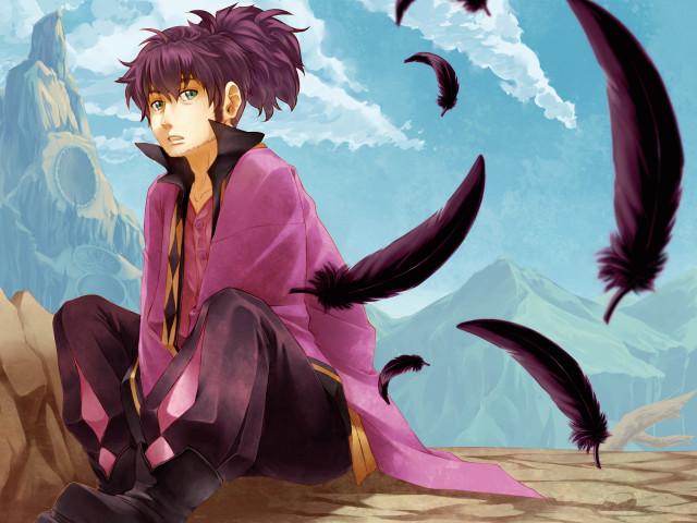 Man sitting rock birds mountains free wallpaper - medium preview image