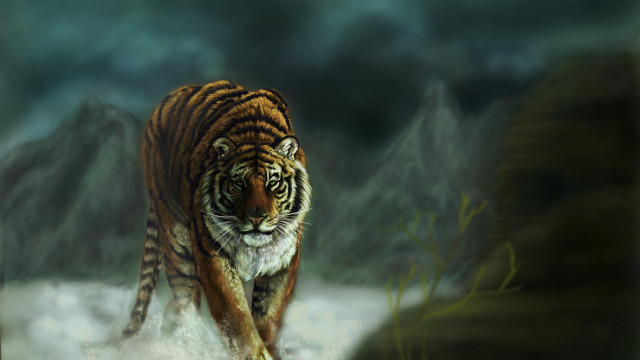 Tiger snowy forest mountains clouds free wallpaper - medium preview image