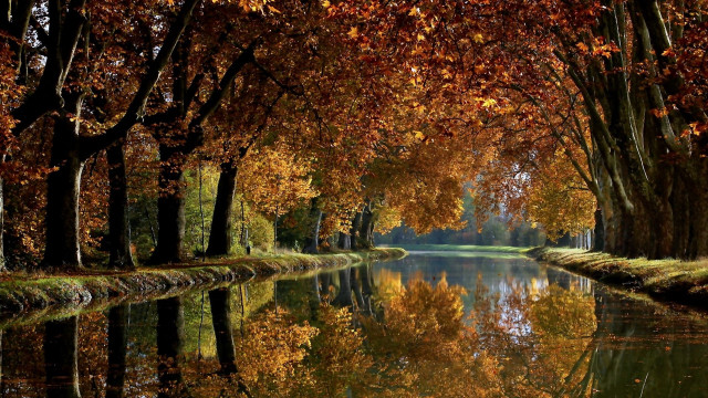 River fall foliage trees cityscape free wallpaper - medium preview image