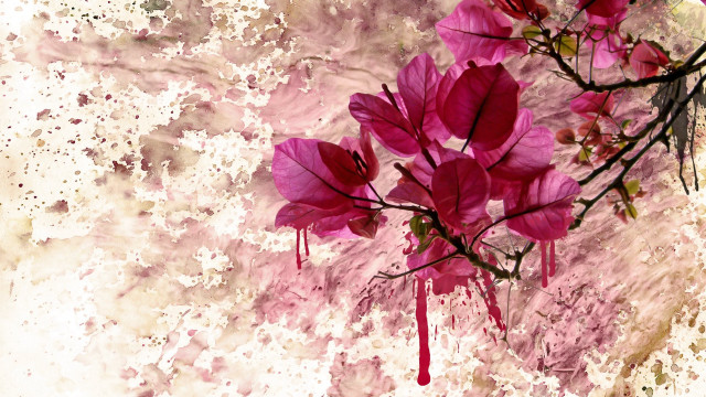 Pink flower blooming hanami branch free wallpaper - medium preview image