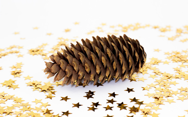 Pinecone goldstars autumn christmas star free wallpaper - medium preview image