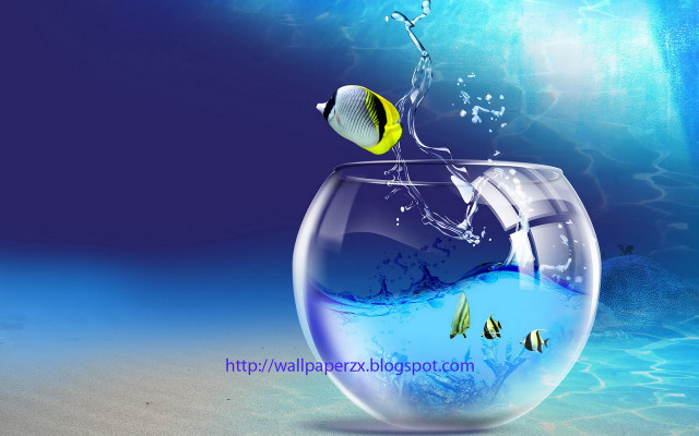 Fish jumping bowl ocean blue free wallpaper - medium preview image