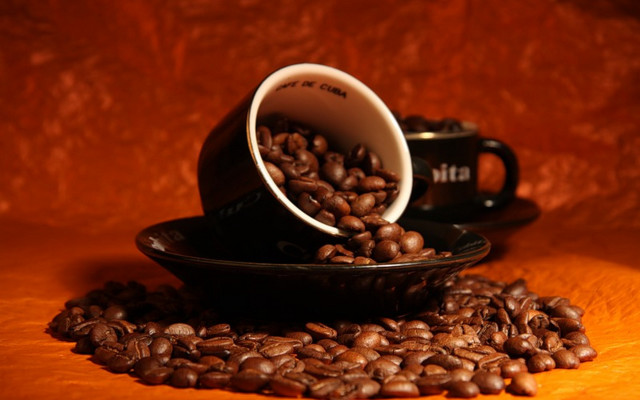 Coffee saucer beans autumn fire free wallpaper - medium preview image