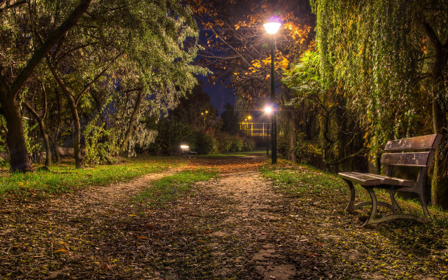 Park bench leafy path night free wallpaper - medium preview image