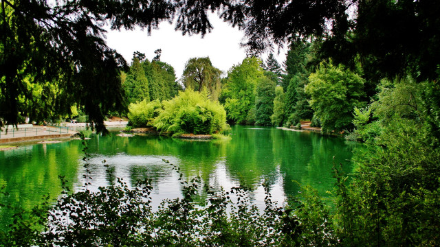 Lake bridge trees impressionist nature free wallpaper - medium preview image