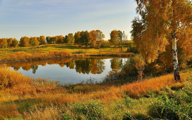 Lake fall trees yellow foliage free wallpaper - medium preview image