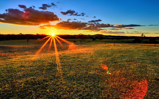 Sunset field water grass cityscape free wallpaper - medium preview image