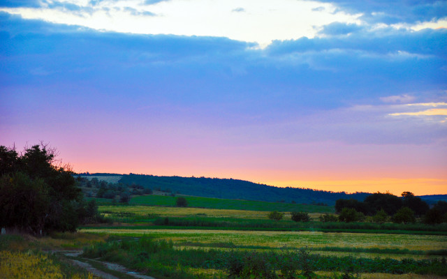 Field road hill trees grass free wallpaper - medium preview image