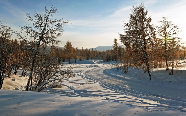 Snowy road trees clouds winter free wallpaper - medium preview image