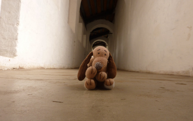 Stuffed animal liminal hallway beach free wallpaper - medium preview image