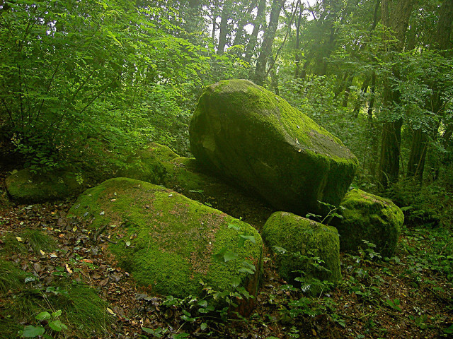 Mossy rock forest nature garden free wallpaper - medium preview image