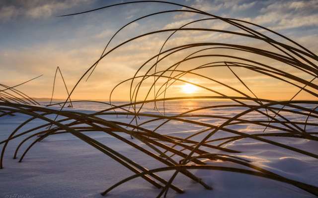 Sunset snowyfield plants clouds landart free wallpaper - medium preview image