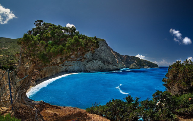 Blue ocean cliff tree shore free wallpaper - medium preview image